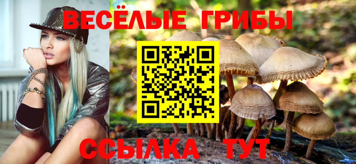 Галлюциногенные грибы Psilocybe Углич
